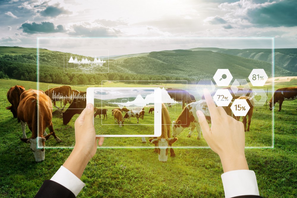 Z6尊龙·凯时(中国)-官方网站