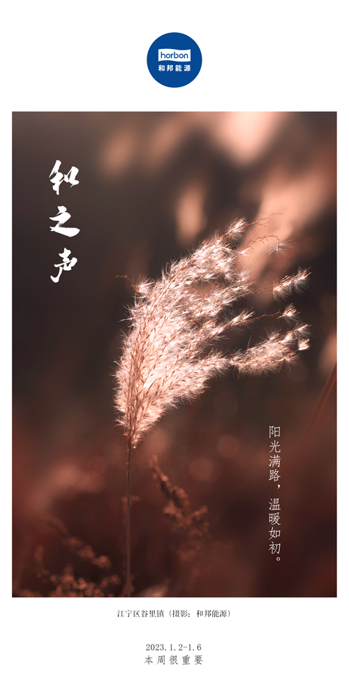 1680578374108429sWS4.jpg 63-和之声(本周很沉要)2022.1.2-1中文季杜酌.jpg