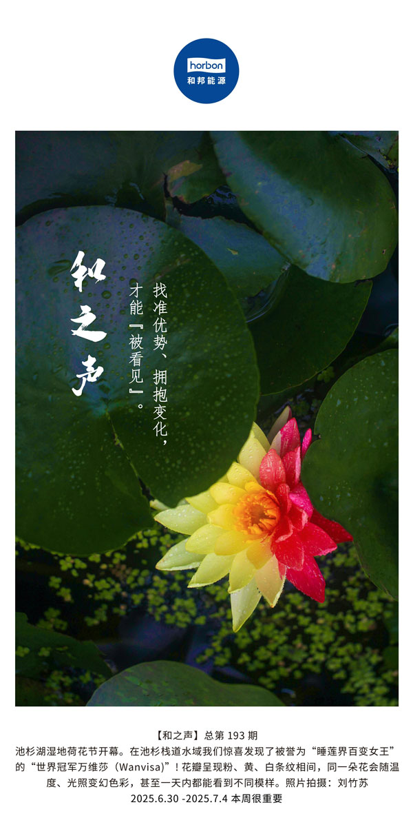 【和之声】找准优势、拥抱变动，能力“被看见”。(总第193期）--2025.6中文导出季度推送用.jpg